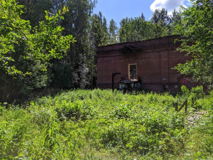 Ковалёвский лес - место расстрела Гумилёва, тропинка скорби