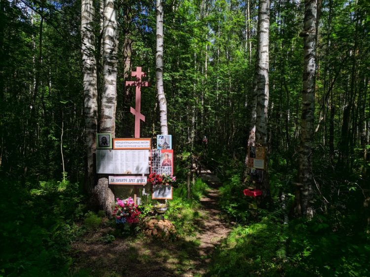 Ковалёвский лес - место расстрела Гумилёва, тропинка скорби