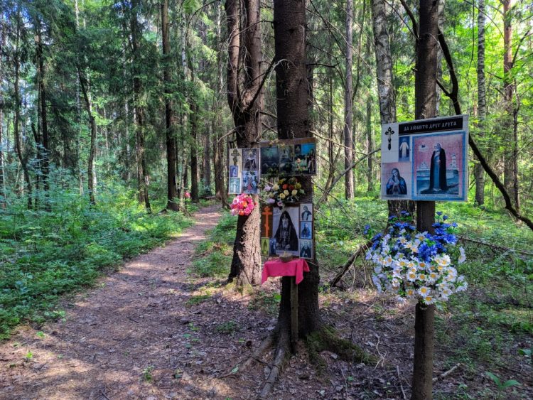 Ковалёвский лес - место расстрела Гумилёва, тропинка скорби