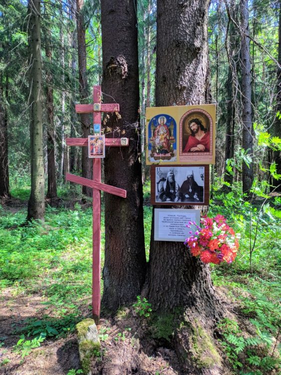 Ковалёвский лес - место расстрела Гумилёва, тропинка скорби