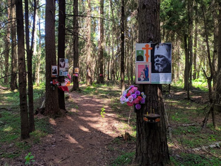 Ковалёвский лес - место расстрела Гумилёва, тропинка скорби