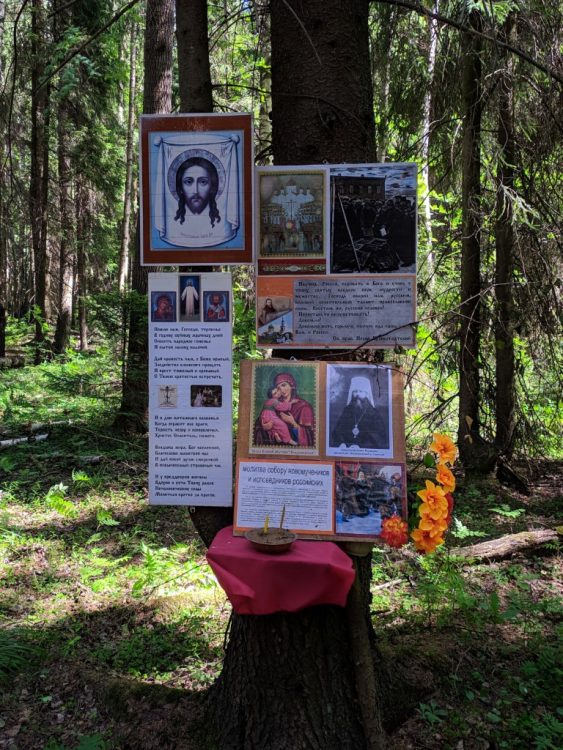 Ковалёвский лес - место расстрела Гумилёва, тропинка скорби