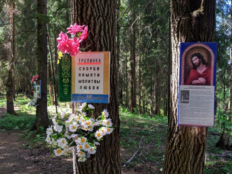 Ковалёвский лес - место расстрела Гумилёва, тропинка скорби