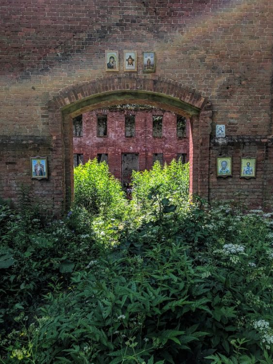 Ковалёвский лес - место расстрела Гумилёва, тропинка скорби